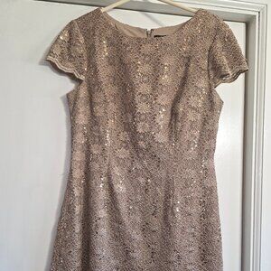 Alex Evenings Petite Lace Sequin Dress Champagne 14P